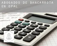 Abogados de bancarrota en  Opal