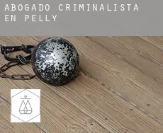 Abogado criminalista en Pelly