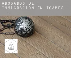 Abogados de inmigración en  Toames