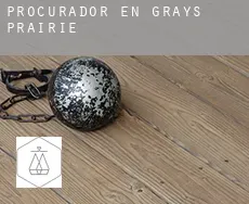 Procurador en  Grays Prairie