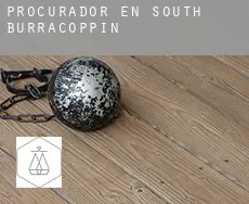 Procurador en  South Burracoppin