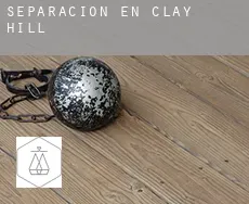 Separación en Clay Hill