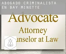 Abogado criminalista en  Bay Minette