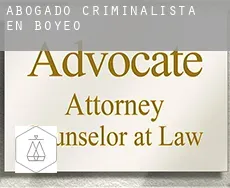 Abogado criminalista en  Boyeo
