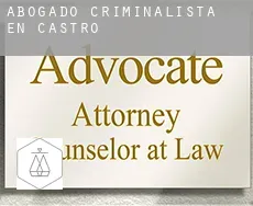 Abogado criminalista en Castro