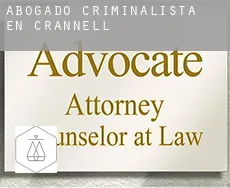 Abogado criminalista en  Crannell