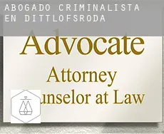 Abogado criminalista en Dittlofsroda