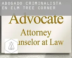 Abogado criminalista en  Elm Tree Corner