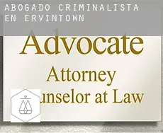 Abogado criminalista en  Ervintown