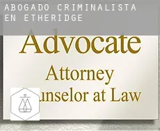 Abogado criminalista en  Etheridge