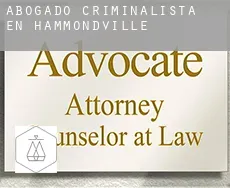 Abogado criminalista en  Hammondville