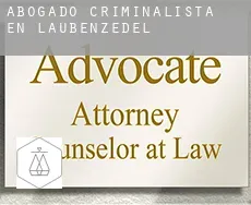 Abogado criminalista en  Laubenzedel