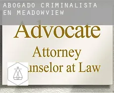 Abogado criminalista en  Meadowview