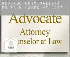 Abogado criminalista en  Palm Lakes Village