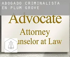 Abogado criminalista en  Plum Grove