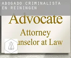 Abogado criminalista en  Reiningen