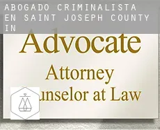 Abogado criminalista en  Saint Joseph County