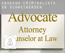 Abogado criminalista en  Schweinerden