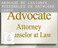 Abogado de lesiones personales en  Ortwiger Loose