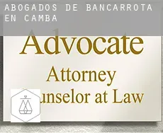 Abogados de bancarrota en  Camba