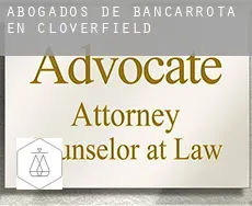 Abogados de bancarrota en  Cloverfield