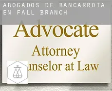 Abogados de bancarrota en  Fall Branch