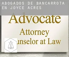 Abogados de bancarrota en  Joyce Acres