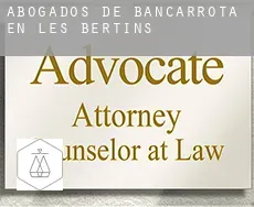 Abogados de bancarrota en  Les Bertins