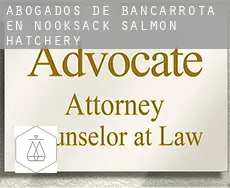 Abogados de bancarrota en  Nooksack Salmon Hatchery