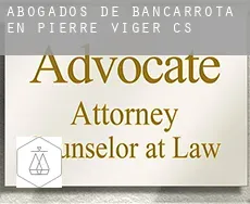 Abogados de bancarrota en  Pierre-Viger (census area)