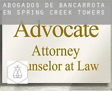Abogados de bancarrota en  Spring Creek Towers