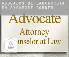 Abogados de bancarrota en  Sycamore Corner