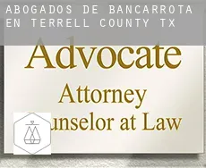 Abogados de bancarrota en  Terrell County