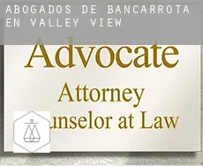 Abogados de bancarrota en  Valley View