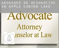 Abogados de deshaucios en  Apple Canyon Lake