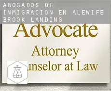 Abogados de inmigración en  Alewife Brook Landing