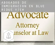 Abogados de inmigración en  Blue Ridge View