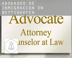 Abogados de inmigración en  Bottighofen