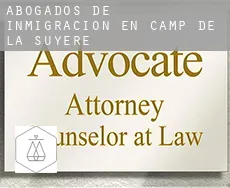 Abogados de inmigración en  Camp de la Suyère