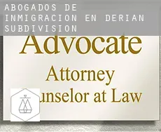 Abogados de inmigración en  Derian Subdivision