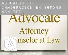 Abogados de inmigración en  Egmond aan Zee
