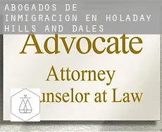 Abogados de inmigración en Holaday Hills and Dales