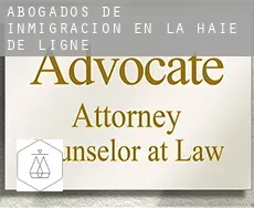 Abogados de inmigración en  La Haie de Ligné