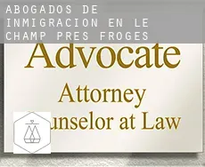 Abogados de inmigración en  Le Champ-près-Froges