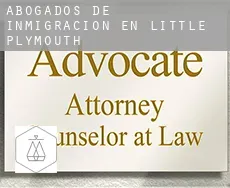 Abogados de inmigración en  Little Plymouth