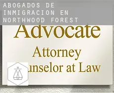 Abogados de inmigración en  Northwood Forest