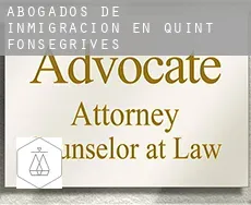 Abogados de inmigración en  Quint-Fonsegrives