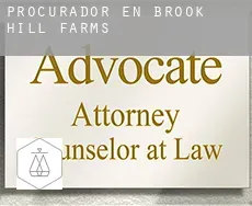Procurador en  Brook Hill Farms