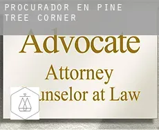 Procurador en  Pine Tree Corner
