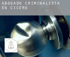 Abogado criminalista en  Cicero